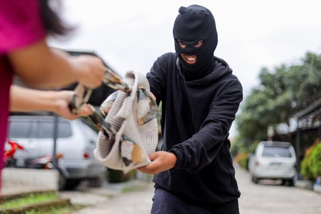 Theft Crimes Defense